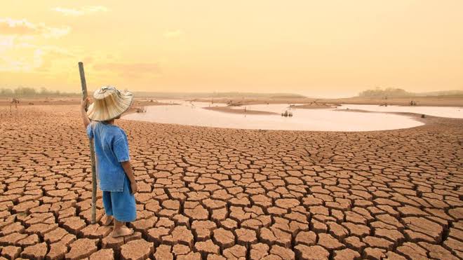 Changement climatique : Le FMI s’engage pour accompagner l’Afrique subsaharienne