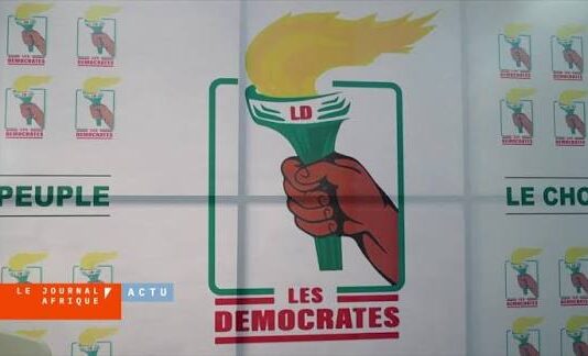 Politique nationale : Quel avenir pour Les Démocrates après la démission de Yayi