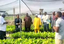 Campagne agricole 2026-2027 : Le Bénin affiche de nouvelles ambitions (700.000 tonnes de coton, 500.000 tonnes d’ananas et 250.000 tonnes de cajou attendues)