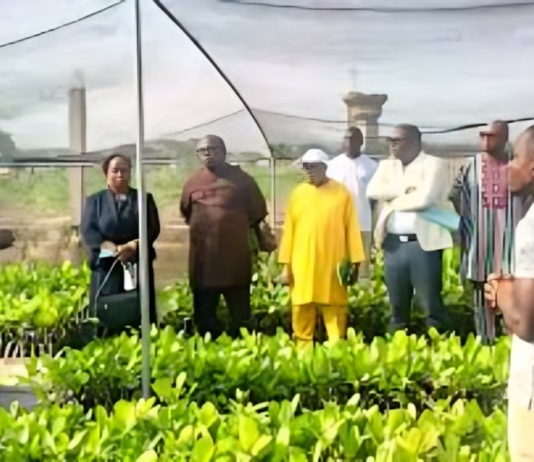 Campagne agricole 2026-2027 : Le Bénin affiche de nouvelles ambitions (700.000 tonnes de coton, 500.000 tonnes d’ananas et 250.000 tonnes de cajou attendues)