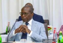 Sénat au Bénin : les prérogatives et obligations de son président, Patrice Talon