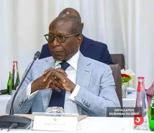 Sénat au Bénin : les prérogatives et obligations de son président, Patrice Talon